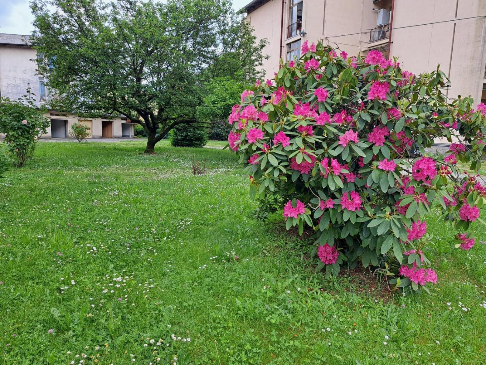 Seraval Valsesia Apartment Serravalle Sesia Exterior photo